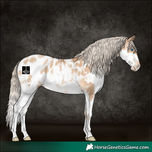 Horse Color:Chocolate Palomino Pearl Splash Blanket 