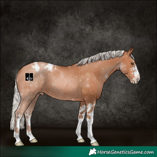 Horse Color:Silver Brown Pearl Sabino Varnish 