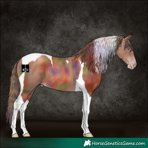 Horse Color:Gray Nacre Gold Champagne Tobiano Rabicano 