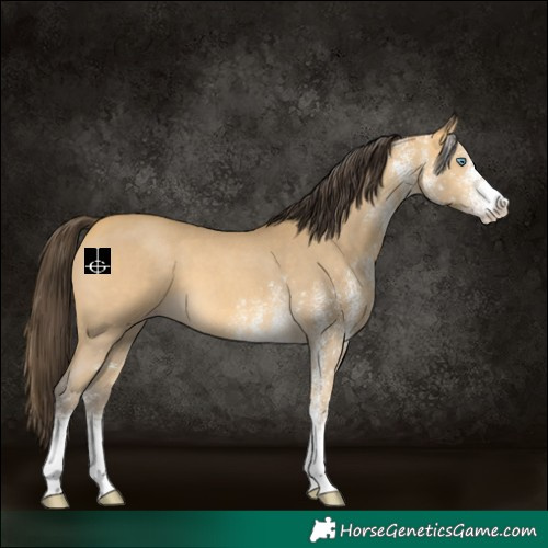 Horse Color:White Spotted Sable Cream Champagne 