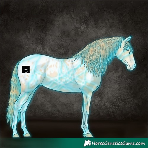 Horse Color:Thunderstruck Buckskin Pearl Blanket 