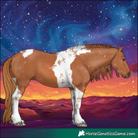 Horse Color:Chestnut Tobiano 
