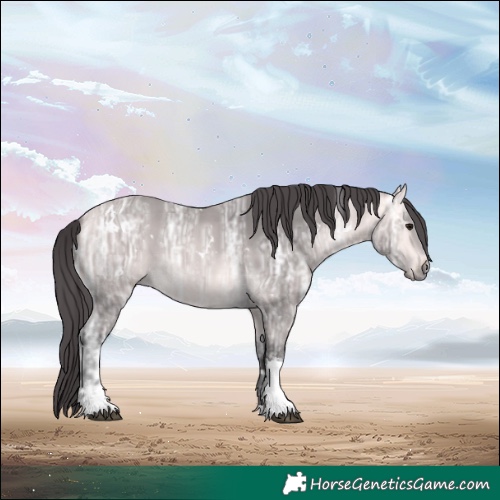 Horse Color:Platinum White Spotted Buckskin Ice Tobiano 