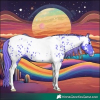 Horse Color:Watercolor Black Tobiano Appaloosa