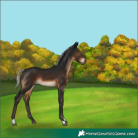 Horse Color:Gray Silver Brown Tobiano 