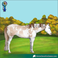 Horse Color:White Spotted Bay Pearl Dun Mushroom Splash