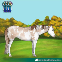 Horse Color:White Spotted Bay Pearl Dun Mushroom Splash 