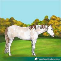 Horse Color:White Spotted Bay Pearl Dun Mushroom Splash 