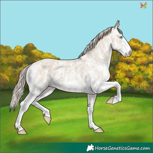 Horse Color:Smoky Creme Sabino  and Smoky Creme Sabino 