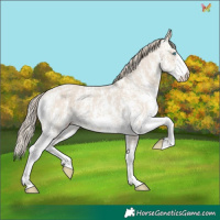 Horse Color:Smoky Creme Sabino  and Smoky Creme Sabino 