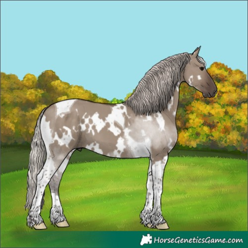 Horse Color:White Spotted Silver Grullo Tobiano 