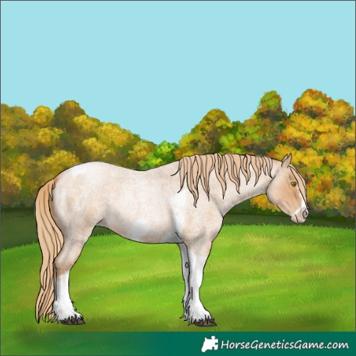 Horse Color:Red Roan Pearl Tobiano Frame