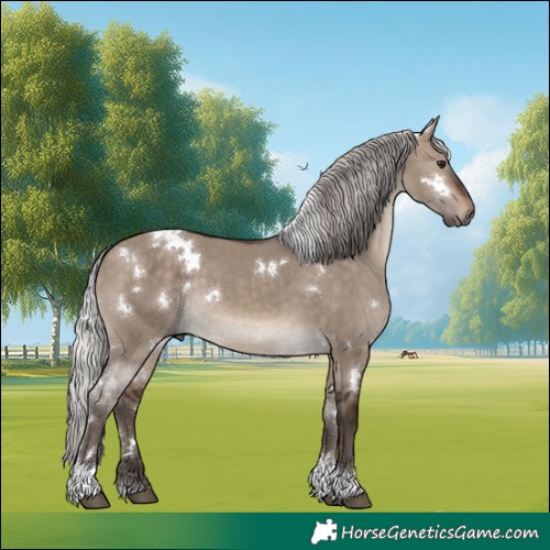 Horse Color:White Spotted Silver Brown Dun Tobiano 