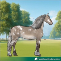 Horse Color:White Spotted Silver Brown Dun Tobiano 
