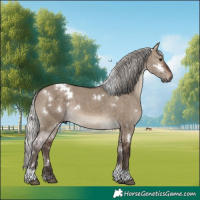 Horse Color:White Spotted Silver Brown Dun Tobiano 