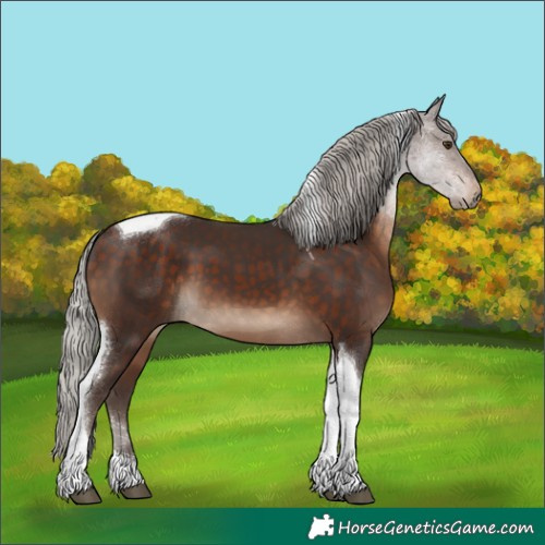 Horse Color:Silver Brown Tobiano 