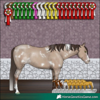 Horse Color:White Spotted Classic Champagne Dun Sabino Rabicano