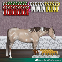Horse Color:White Spotted Classic Champagne Dun Sabino Rabicano
