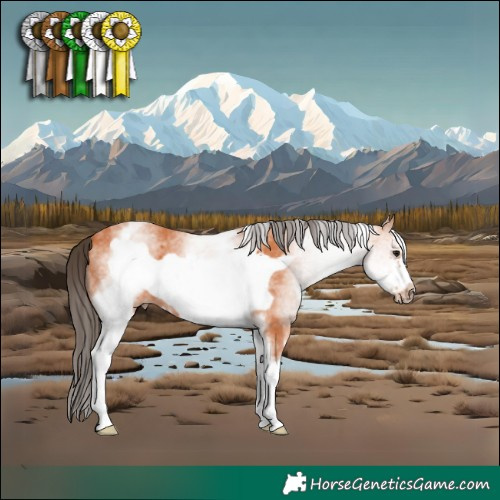 Horse Color:White Spotted Bay Frame 
