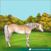 Horse Color:Silver Bay Onyx 
