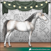 Horse Color:White Spotted Bay Dun Sabino 