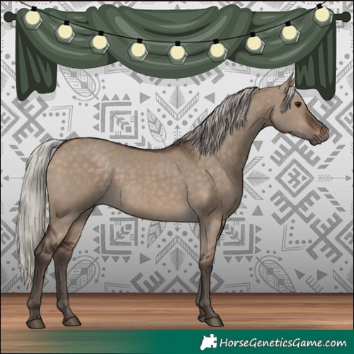 Horse Color:Silver Brown Dun 