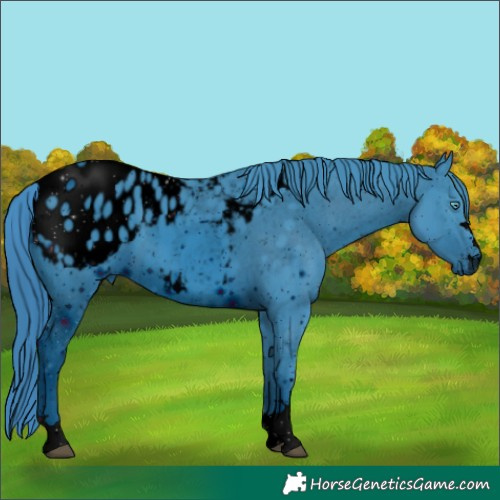 Horse Color:ERROR: UNKNOWN ANOMALY