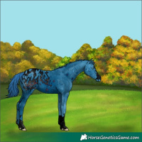 Horse Color:ERROR: UNKNOWN ANOMALY