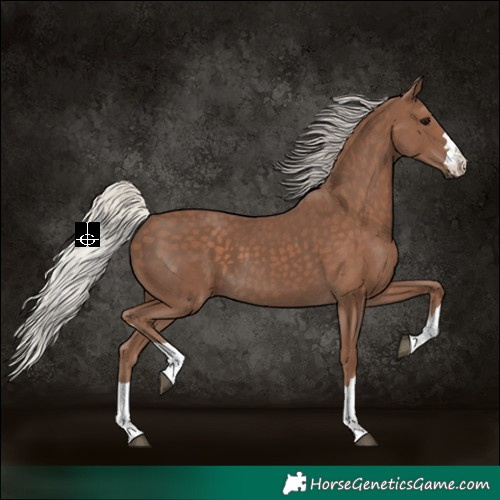 Horse Color:Silver Black 