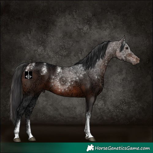 Horse Color:Powder White Brown Ice 