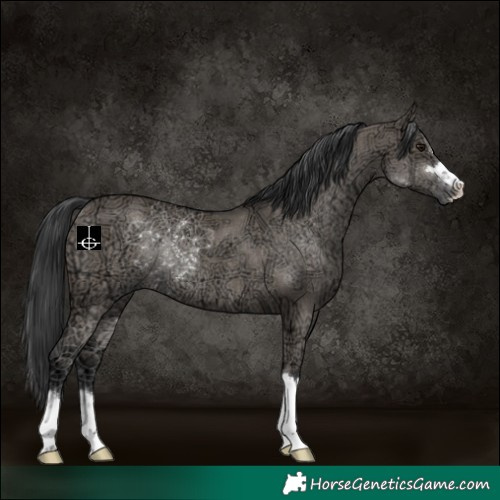 Horse Color:Grullo Ice Rabicano 