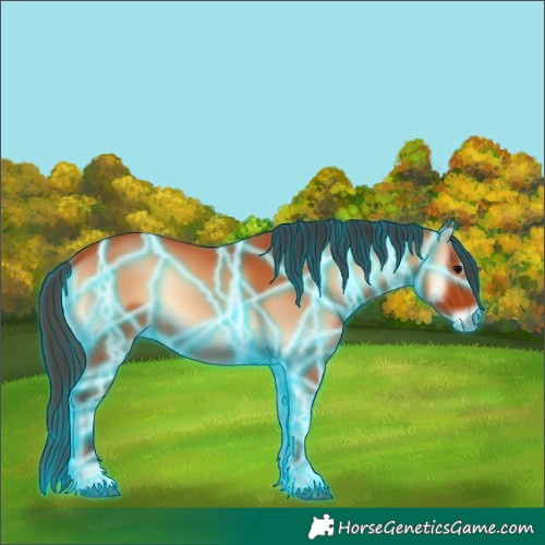 Horse Color:Thunderstruck Bay Onyx