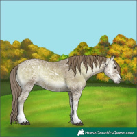 Horse Color:Watercolor Red Onyx Ice