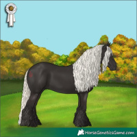 Horse Color:Liver Chestnut Mushroom 