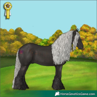Horse Color:Liver Chestnut Mushroom 