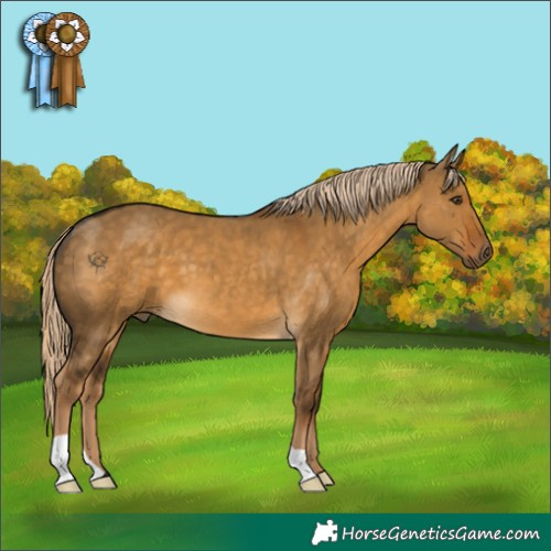 Horse Color:Chocolate Palomino Dun 