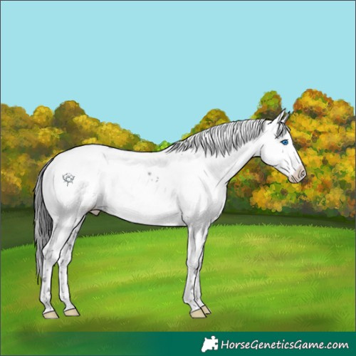 Horse Color:Black Frame 