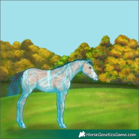 Horse Color:Thunderstruck Sable Champagne Ice Frame Rabicano