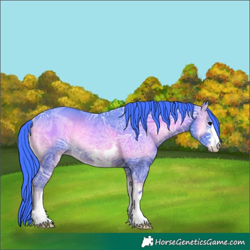 Horse Color:Watercolor Blue Onyx Ice Rabicano