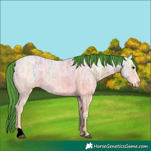 Horse Color:Watercolor Bay Ice Rabicano