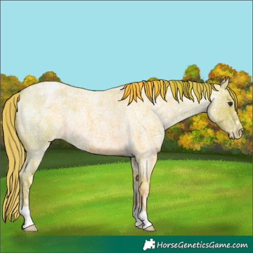 Horse Color:Watercolor Red Ice Roan Varnish Rabicano