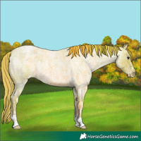 Horse Color:Watercolor Red Ice Roan Varnish Rabicano