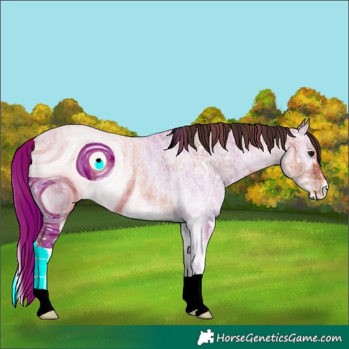 Horse Color:ERROR: UNKNOWN ANOMALY
