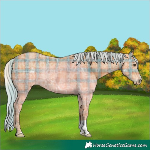 Horse Color:Plaid  Silver Bay Ice Varnish Rabicano 