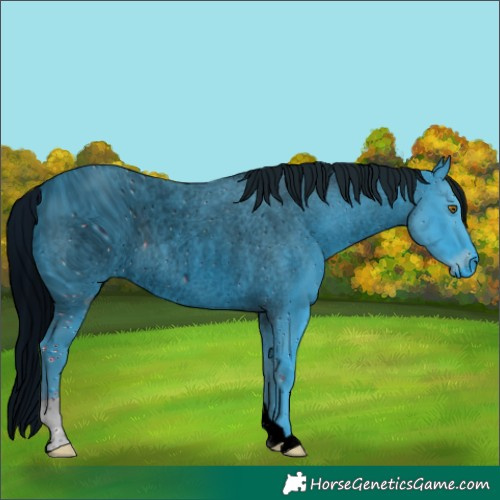 Horse Color:ERROR: UNKNOWN ANOMALY