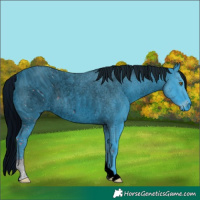 Horse Color:ERROR: UNKNOWN ANOMALY