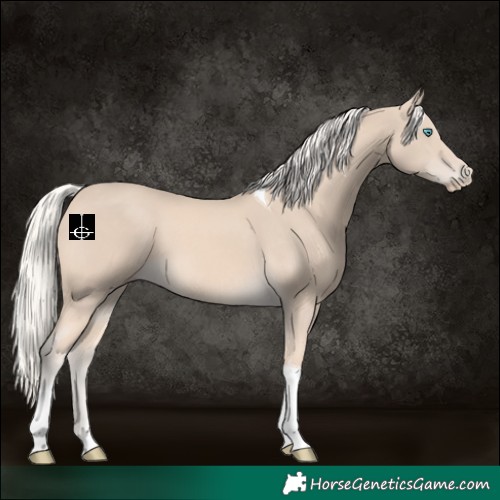 Horse Color:Cremello Tobiano