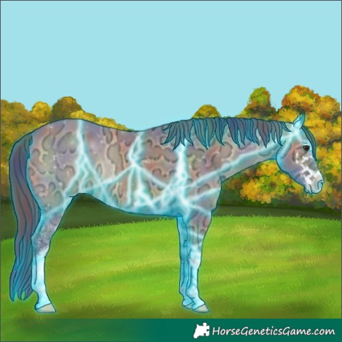 Horse Color:Nacre Thunderstruck White Spotted Bay Ice Dun 