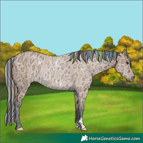 Horse Color:Painted Bay Ice Dun