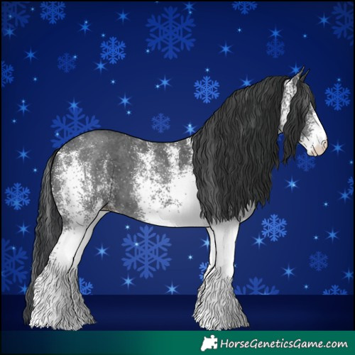 Horse Color:White Spotted Black 
